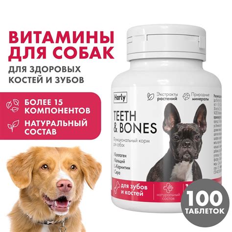Витамины для собак и щенков для костей и зубов, 100 таблеток - купить с ...