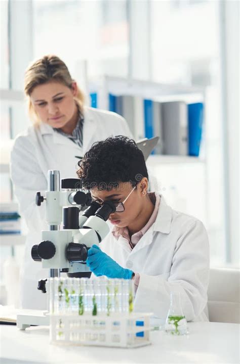 Laboratorio De Ciencias Y Mujer Con Plantas Por Microscopio Para