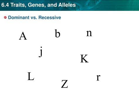 Dominant And Recessive Powerpoint And Notes