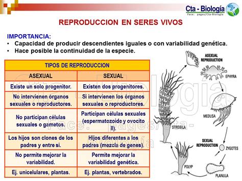 Reproduccion Seres Vivos