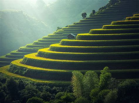 Hd Wallpaper Asia Hut Sunrise Terrace Terraces Rice Terraces Path Wallpaper Flare