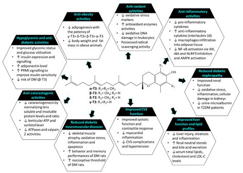 Potential Role Of Tocotrienols On Non Communicable Diseases A Review
