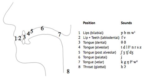 What Is Accent Reduction Pronunciation Studio