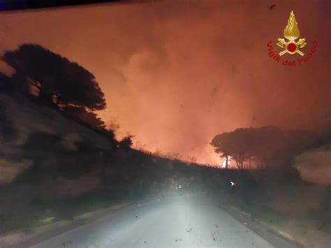 Incendi Ancora Roghi Nel Palermitano Minacciate Abitazioni Notizie