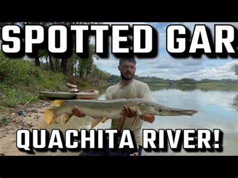 HUGE SPOTTED GAR On The QUACHITA RIVER Kayak Catfishing YouTube