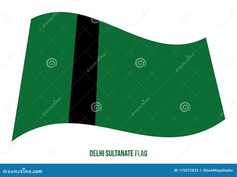 Delhi Sultanate Flag