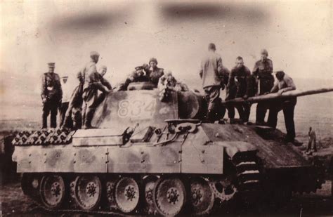 Фотография Пантеры на опознание — Военные фотографии — Сообщество