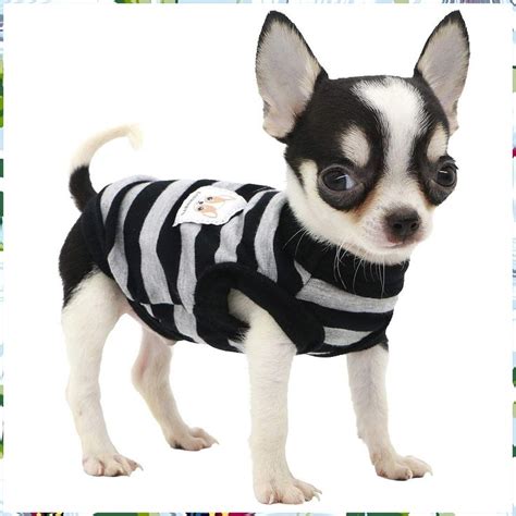 Striped Chihuahua Clothes for Small Dogs