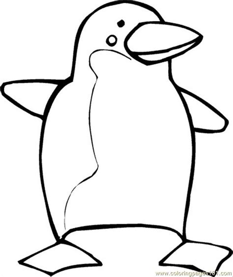 Pinguino Da Colorare