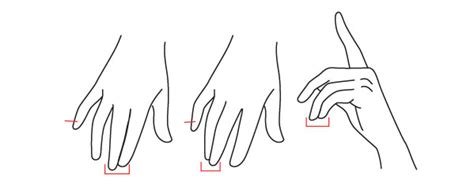 Human Anatomy Fundamentals How To Draw Hands Envato Tuts