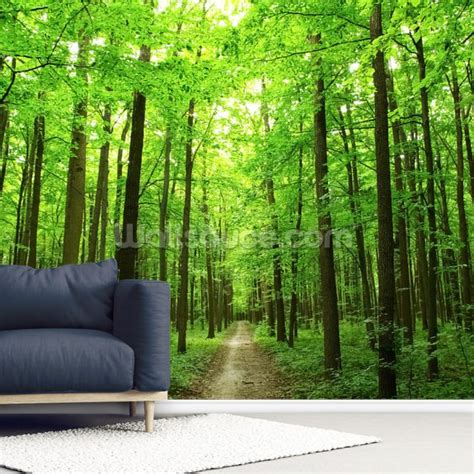 Mural De Pared Bosque Verde Wallsauce ES