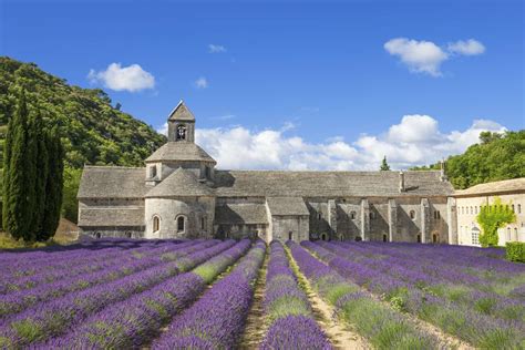 Provence Lavender Tour - Context Travel