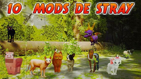 10 Mods De Stray En 1 Video Youtube