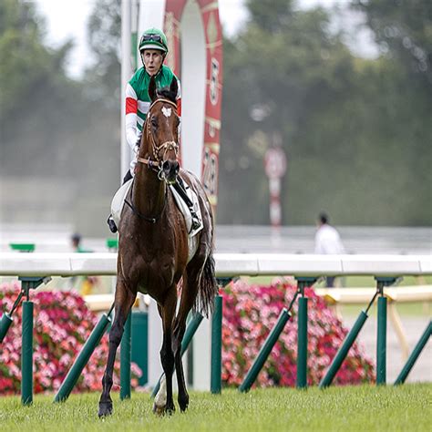 初の日本ダービー馬3世代対決が実現！ データでわかる有馬記念好走の1頭とは 2023年12月20日掲載 ライブドアニュース