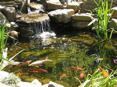 Koi Ponds & Water Gardens | Water Features by Hoaglandscape 