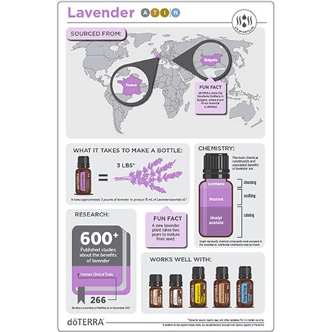 Lavender Oil Dōterra Essential Oils