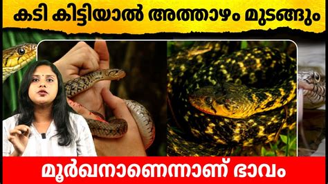 Facts About Checkered Keelback