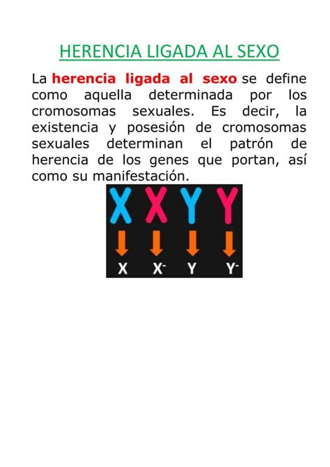 HERENCIA LIGADA AL SEXO Docx