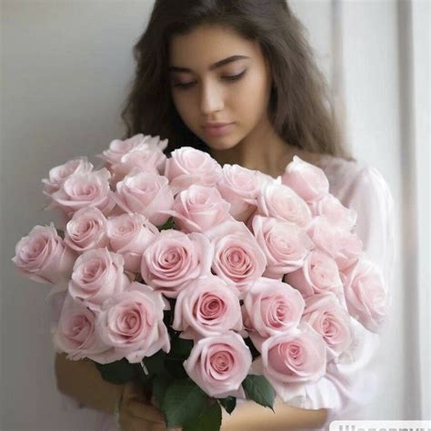 Роза Лайт пинк (light pink): описание и фото | блог интернет - магазина ...