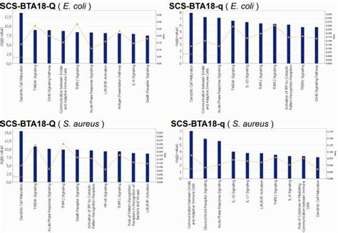 Overview canonical pathways. Ingenuity canonical pathways affected ... 