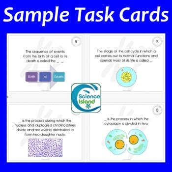 Mitosis And Meiosis Task Cards Activity Science Island