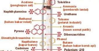 Kandungan Dalam Rokok Dan Zat Berbahaya Dalam Rokok Atap Ilmu