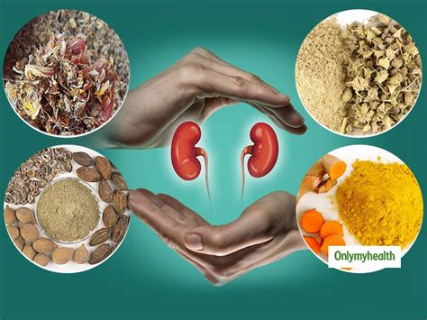 Best Ayurvedic Herbs To Keep Liver And Kidney Healthy Onlymyhealth