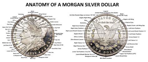 Anatomy Of Coins Newbie Coin Collecting Questions Ngc Coin