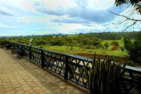 Giorni Aberdare S Lago Nakuru Masai Mara Lago Naivasha