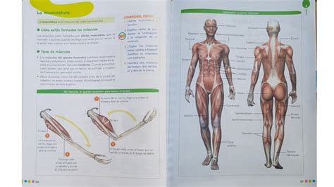 Ciencias De La Naturaleza Ppt