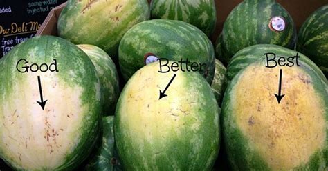 How To Pick A Watermelon The Garden Magazine