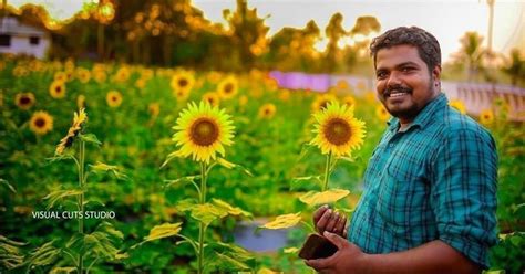 A Field of 8000 Sunflowers Gives Farmer ‘Golden Yield’ of Rs 10 Lakh Profit