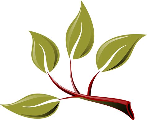 Clipart leaves branch, Clipart leaves branch Transparent FREE for