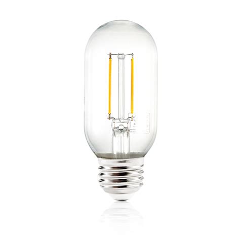 Light Society 25 Watt Equivalent T14 E26/Medium (Standard) Dimmable ...