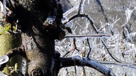 Maltempo Allerta Gialla In Liguria Neve Sui Rilievi E Vento Forte