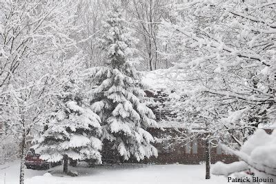Patrick Blouin Photographe Amateur Décembre c est l hiver