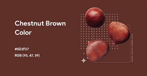 Chestnut Brown Color Hex Code Is 5d2f27