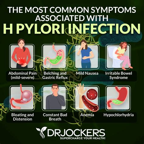 The Damaging Effects of H Pylori Infections - DrJockers.com