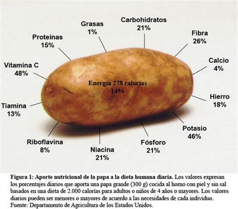 Aporte Nutricional De La Papa Platos Argentinos Platos Argentinos