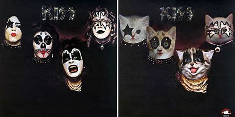 Cat Album Covers Replace Iconic Designs with Adorable Kittens