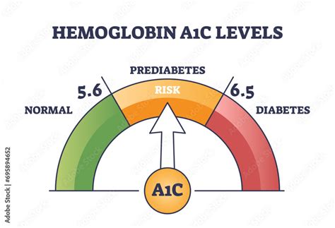 Hemoglobin A1c Test For Prediabetes And Diabetes Checkup Outline