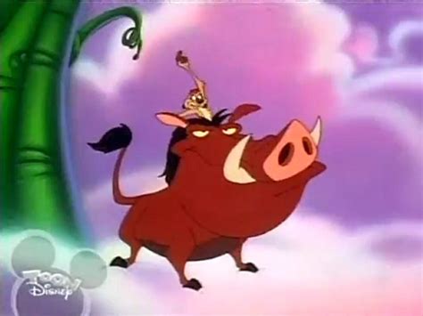 Timon And Pumbaa Real