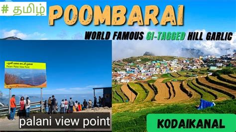 Poombarai Village View Palani View Point Kodaikanal Babu Vlogs