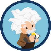 Find Out How Einstein Conversation Insights Works Salesforce