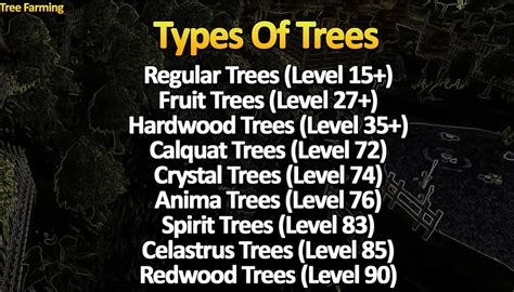 Complete Tree Farming Guide for OSRS - Tree Run Guide