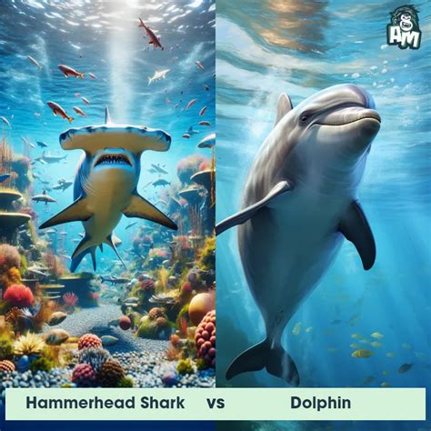 Hammerhead Shark: Predator-Prey Interactions, Fights, and Aggressive Behaviors | Animal Matchup