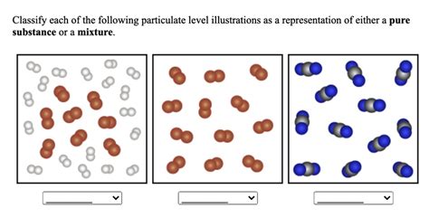 SOLVED Classify Each Of The Following Particulate Level Illustrations