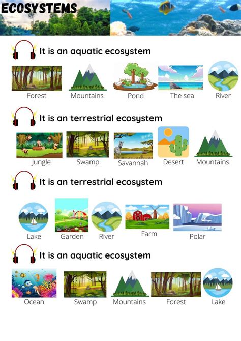 Ecosystems Online Exercise For Grade