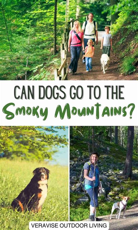 Can Dogs Go To The Smoky Mountains?