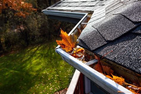 Cleaning Your Gutters and What Happens if You Don’t? - All Seasons